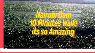 Nairobi Dam 10 Minutes walk! its so Amazing Actualy, Documentary1