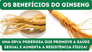 GINSENG - CONHEÇA 12 BENEFÍCIOS DO GINSENG UMA PLANTA MILAGROSA