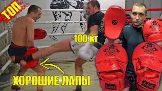 Лапы для Тайского Бокса и ММА. Кожанные лапы для отработки ударов Spirit of a Warrior