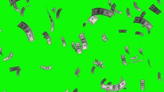 Dollars Money Falling Free Background Animation Loop footage Green screen Motion Graphic Video VFX