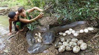 Survival in The Forest - Primitive Life Finding Food meet fish protect eggs