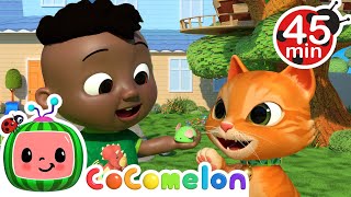 Opposites Song | CoComelon - It's Cody Time | CoComelon Songs for Kids & Nursery Rhymes