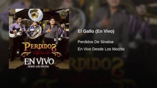 El Gallo En Vivo - Perdidos de Sinaloa