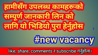 job in pokhara|pokhara job center|new job vacancy| vacancy 2080| pokhara ma kam| vacancy in pokhara