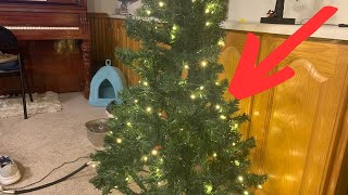 My Experience After 1 Month With 7d24hcare Christmas Tree