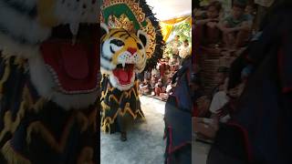 BARONGAN GALAK