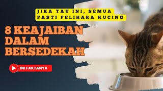 Keajaiban dalam bersedekah