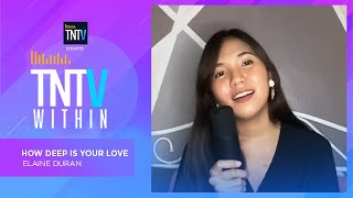 TNTV Within: How Deep Is Your Love - Elaine Duran