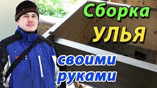 Как сделать улей своими руками для содержания пчёл на воле. Улей под рамку дадан