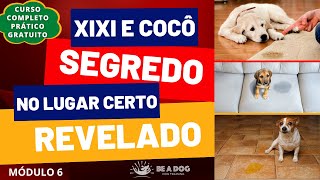 SEGREDO REVELADO!!! Como ensinar o CACHORRO fazer XIXI E COCÔ no LUGAR CERTO?  (Curso - Módulo 6)