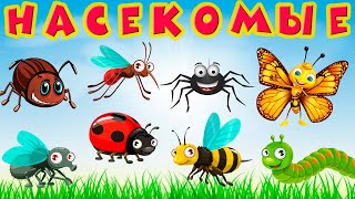 Насекомые для детей 🐝 Учим насекомых 🐞 Насекомые мультик 🐜 Насекомые звуки 🕷 Развивающие мультики