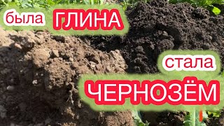 Самый ПРОСТОЙ СПОСОБ изменить вашу почву.