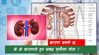 Bardali Khabar HD || के के कारणले हुन सक्छ मृगाैला फेल ? सुन्नुहाेस्...