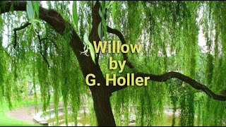 G. Holler | Willow |