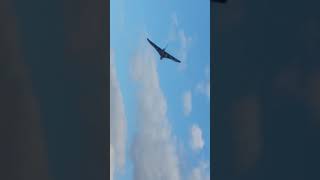 xh558 Vulcan bomber howl rumbling the sky air show