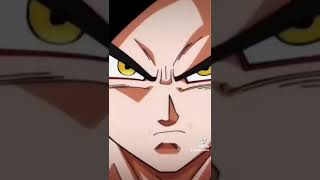 Xeno Goku vs Dragon Ball characters