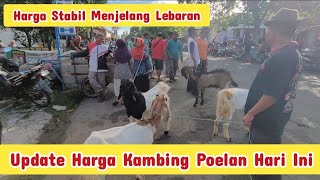 UPDTAE HARGA KAMBING TERBARU HARI INI ( PASAR JETIS PONOROGO)