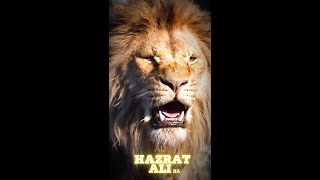 Mera Moula Haider | Hazrat Ali Attitude status | Sher e khuda🦁 |  Hazrat Ali Whatsapp status