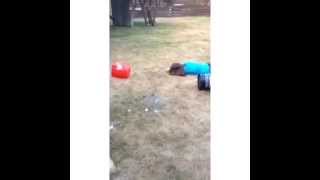 Ice Bucket Fail - Funny Vine!