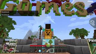 Skyblock (MC Servers) (Twitch)