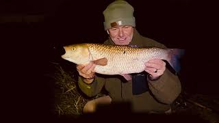 Big Chub from the River Chelmer