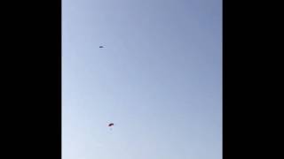 Skydivers