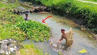 Banyak Ikan Terjebak di Bawah Bekas Bendungan