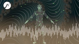 Unterstützung bei Hautregeneration (Hauterneuerung, Narbenheilung) Bioresonanz Audio