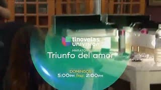 Último Maratón: Triunfo Del Amor | Univision Tlnovelas