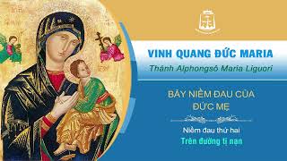 Thánh Alphongsô Maria Liguori - Vinh Quang Đức Maria | Bảy niềm đau của Đức Mẹ