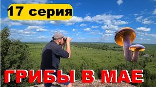 [17] Грибы в мае, лезу в шахту, готовка грибов