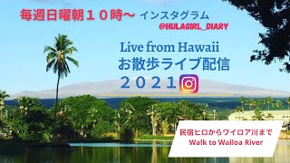 【6/4/2021 民宿ヒロからワイロア川まで歩きながらライブ】Live- Walk to Wailoa River