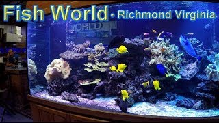 Fish World • in Richmond Virginia