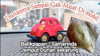 Duriannya Banyak Banget, Sampai Gak Muat dalam Mobil !!! Isi duriannya manis banget, legit dan tebal