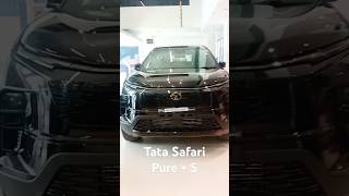 Black Lion | Tata Safari Pure + S #shorts #safari | Akshit Pandey