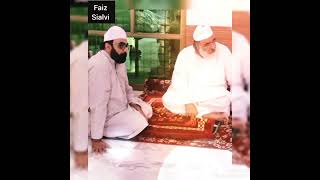 Peer Zia Ul Haq Sialvi Sb