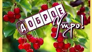 Прекрасных августовских дней 💖Доброе утро🏵Отличного настроения 😊💝