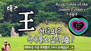 4KUHD 할배 억새로덮은 왕릉  동구릉 아홉릉 왼주 하다 2024.09.21.