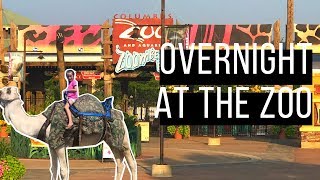 Overnight at the Columbus Zoo | VLOG