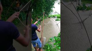 বৃষ্টিতে গ্রামের মাছ ধরা #shorts #fish #fishing.