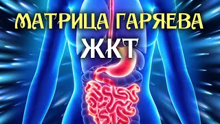 Мощная Матрица Гаряева для ЖКТ ☀️ Квантовое исцеление звуком ☀️Оздоравливающая Медитация