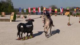 Speed Test (4th part) – European Championship Working Equitation – Obořiště (CZE) 21. 9. 2024