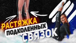 Растяжка подколенных связок