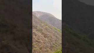 Rajgir Glass Bridge#rajgir #glassbridge#mountains #shorts#shortsfeed #youtubeshorts#like #subscribe