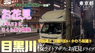 【キャンピングカー車中泊旅】東京都へ急遽夜桜お花見して🍓苺ソーダに大興奮🤤東京都内をキャンピングカーでドライブしながら車中からお花見しちゃったよ～🌸春が来たねぇ～😆