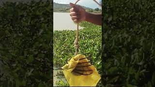 Unbelievable ! Magnet Fishing With The Most Powerful