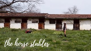 XIX | A garden snake! | Horse stables tour | French country estate maintenance