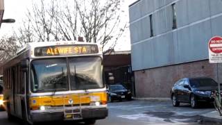 MBTA Neoplan AN440LFs (Three of a kind)