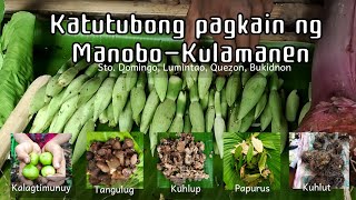 Mga katutubong pagkain ng Manobo-Kulamanen ng Quezon, Bukidnon | Indigenous wild food