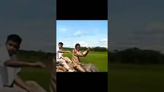 Tiger 🐯attack of villager but save it villager...! #shorts #tiger #animals